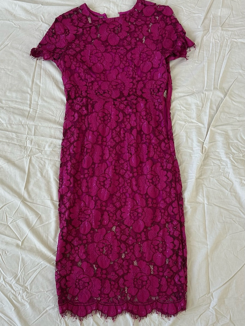 NSR Fuchsia Lace Midi Sheath Dress